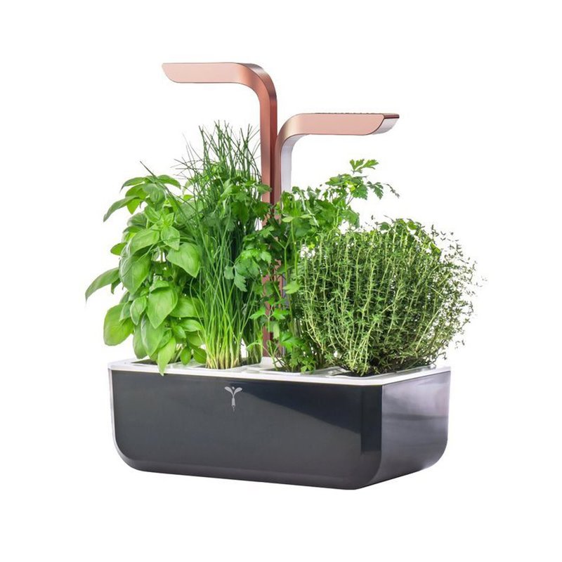 Jardiniera SMART Garden 33 x 18,5 x 45 cm,