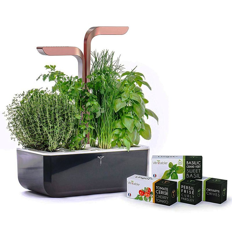 Jardiniera SMART Garden 33 x 18,5 x 45 cm,